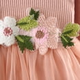 thumbnail image 7 of Kiijoy Newborn Girls Flower Embroidery Ribbed Long Sleeve Dress Fall Mesh Princess Dress, 7 of 7