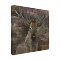 thumbnail image 4 of Trademark Fine Art 'The Leader Deer' Canvas Art by Albena Hristova, 4 of 4