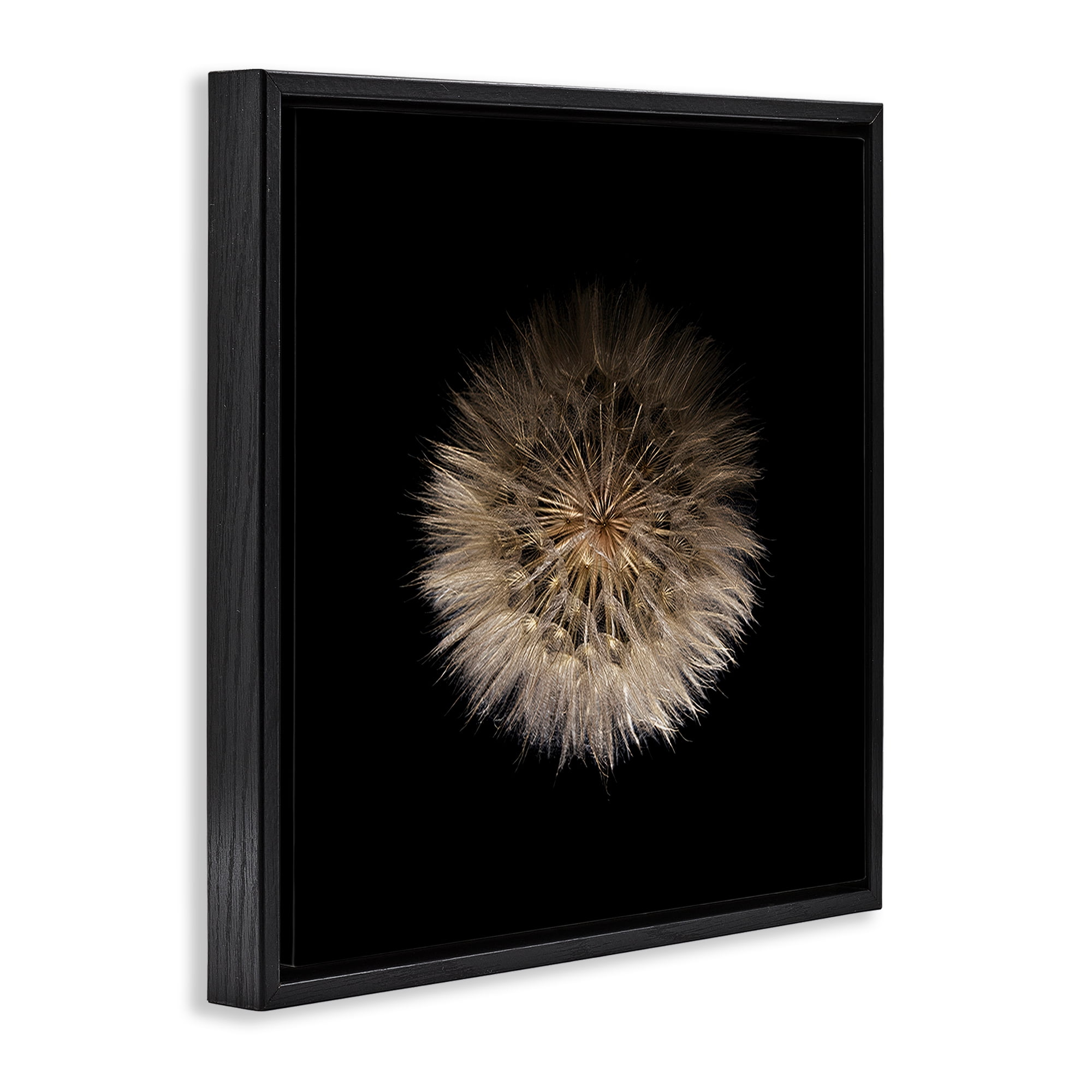Stupell Industries Wispy Dandelion on Black Black Framed Floater Canvas Wall Art, design by Beth Adoette