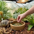 thumbnail image 4 of Reptile Feeding Food Gecko And Hamster Easy Clean Food Water Bowl, 4 of 6