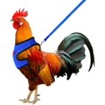 thumbnail image 1 of Chicken Harness with Leash Adjustable Breathable Hen Dog Harness Medium (Blue), 1 of 5