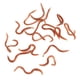 thumbnail image 3 of Cebos de Gusano, 10 cm/3,9 Pulgadas, Señuelo de Gusano de Pesca, Cebo de Lombices de Tierra Falso, Cebos de Pesca de Pvc Falsos, 3 of 7
