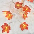thumbnail image 1 of Gwong Electrónica Navidad String Light Impermeable Decorativo Día de Acción de Gracias Día de Acción de Gracias Simulación Hoja de arce LED Luz de hadas para la chimenea, 1 of 6