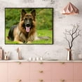thumbnail image 2 of Diamond Painting German Shepherd Kit for Adults Full Drill Diamond Art Painting by Number Kits Gem Art Wall Home Decor, 2 of 7