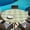Green, variant on Round Table Cover 45-54 Inch Sage Green Morocco Waterproof Reusable Table Cloth Round Fitted Vinyl Tablecloth with Elastic Edged for Parties Outdoors, Vintage Abstract Geometric Pattern