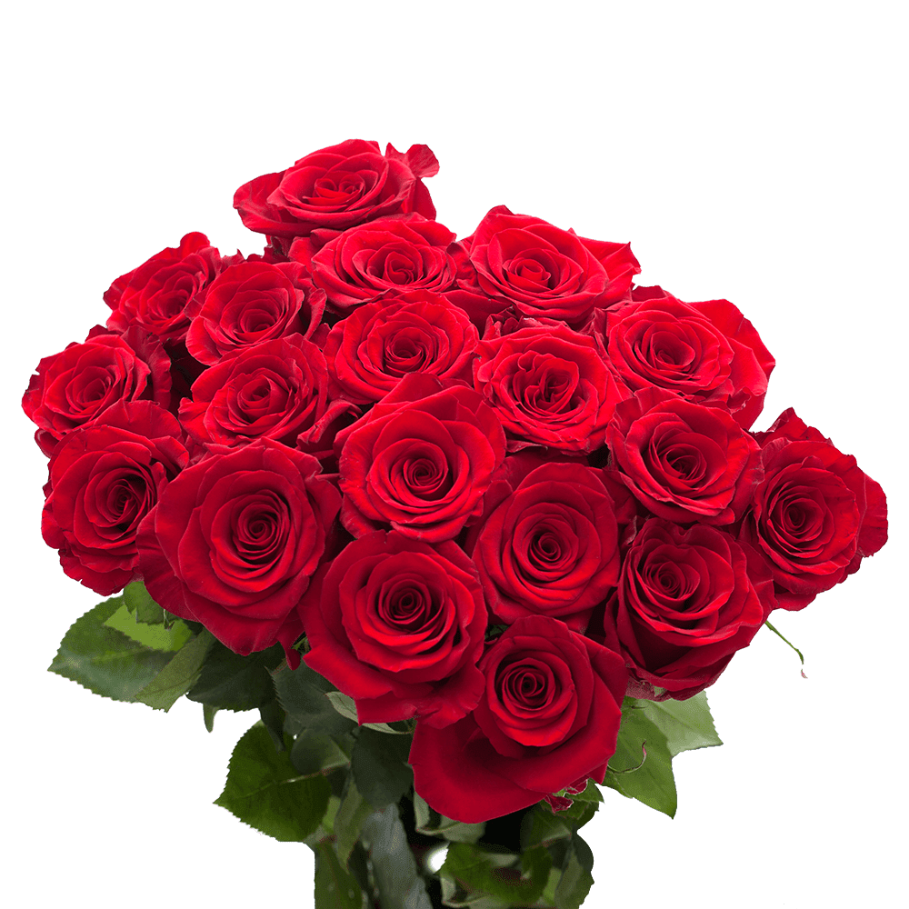 Globalrose Red - Walmart.com