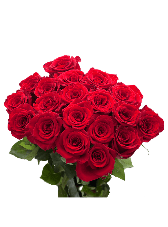 leader Typewriter Copyright Roses in Flowers - Walmart.com