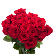 50 Stems of Red Roses- Beautiful Fresh Cut Flowers- Express Delivery