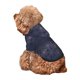 thumbnail image 5 of Fotbe Sunflowers Sudadera con Estampado para Perros Pequeños – Suéter con Capucha para Mascotas, Tela Suave de Forro Polar con Bolsillo-Medium, 5 of 7