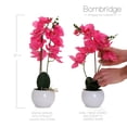 thumbnail image 3 of Bornbridge Artificial Potted Orchid with Long Stem - 2 Pack - Hot Pink - Large, 3 of 5