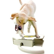 BRINGERPET Dog Water Dispenser Pet Fountain - Upgraded 2021 Easy Paw Activated Dog Steps Eco-Friendly Pet Water Fountain with New Durable Leak-Proof Dog Bowl Hose Fresh Water Funny Dog Toys Keep Pets Cool