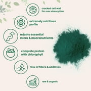 Micro Ingredients Organic Chlorella Powder, 20 Ounces | Broken Cell Wall Green Superfood Powder