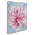 thumbnail image 3 of Li Bo 'Pink Peonie II' Canvas Art, 3 of 4