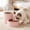 Pink, variant on Automatic Pet Feeder with Storage, Programmable Timer Dry Food Dispenser 9.06x8.27x4.72in, Smart Portion Control Feeder for Cats and Small Dogs, BPA-Free Plastic Bowl with Airtight Food Container