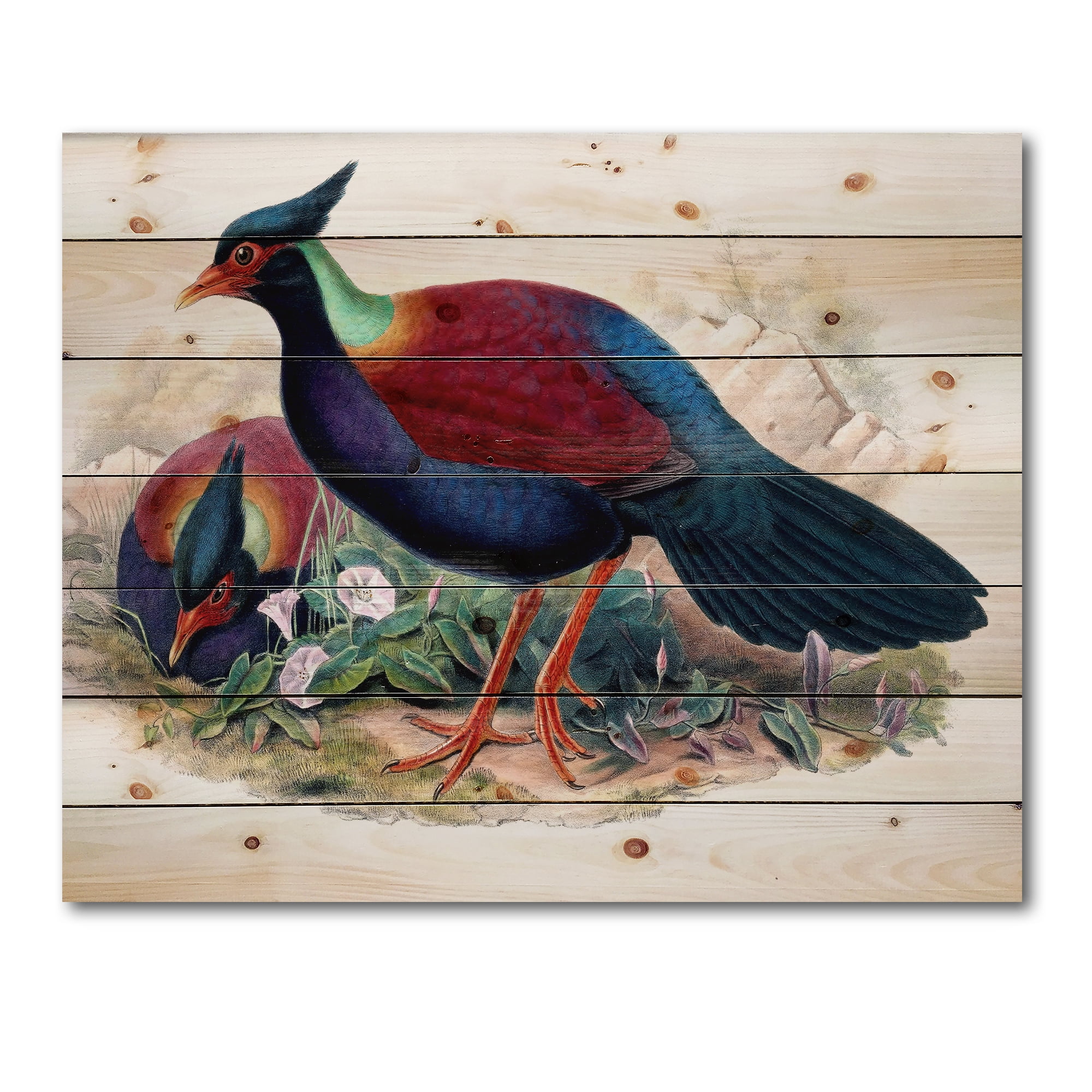 Designart 'Ancient Birds In The Wild II' Traditional Print on Natural Pine Wood