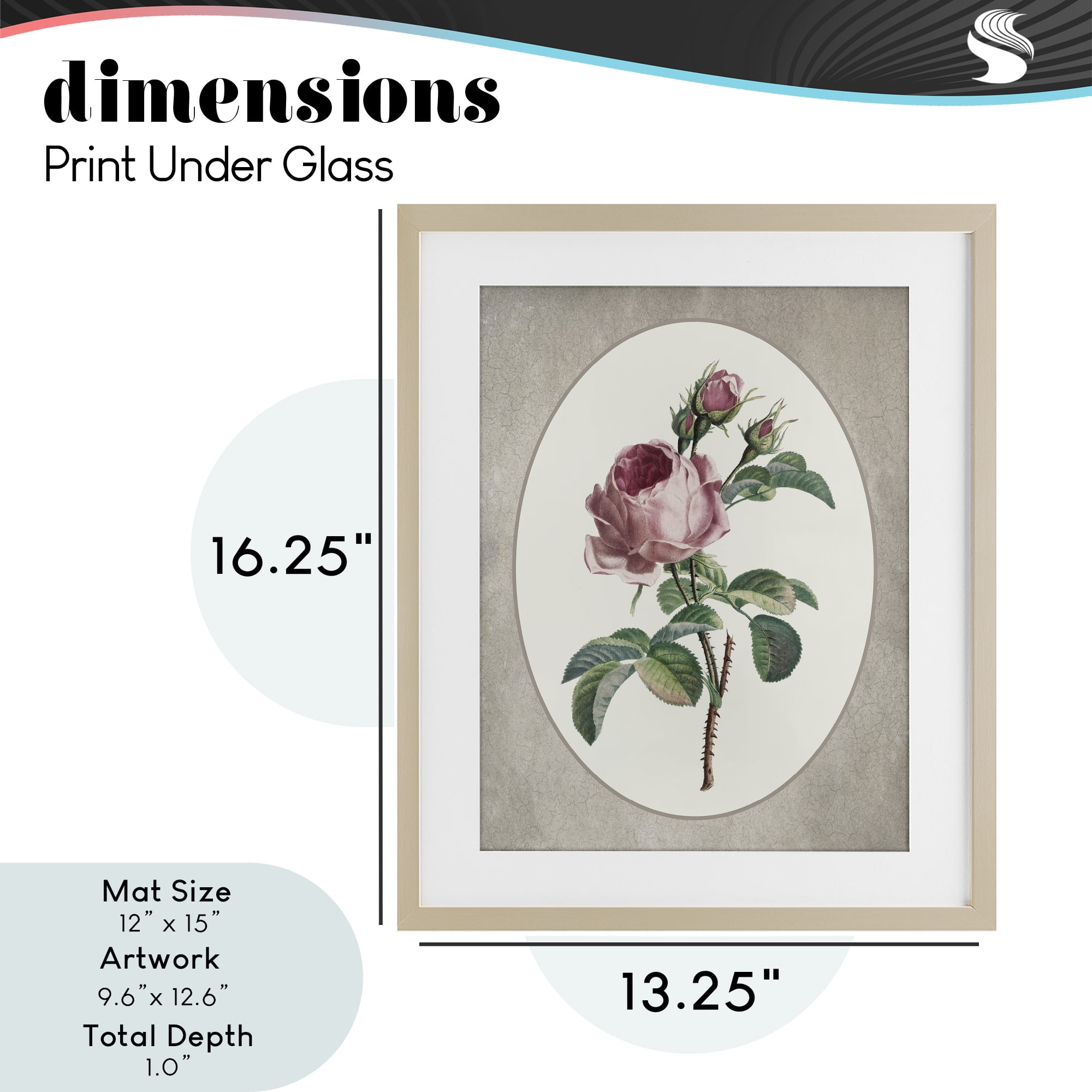 Vintage Rose within Oval Birch Framed Print Under Glass, design by Lettered and Lined