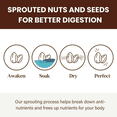 thumbnail image 6 of Lark Ellen Farm Raw Almonds, Sprouted Unsalted, Steam Pasteurized, Certified USDA Organic, Gluten-Free Whole Shelled California Premium Nuts (10 oz, 3 Pack), 6 of 7