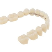 Resin Teeth Denture Upper Lower Shade Artificial Preformed Dentition Oral Care
