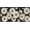 Daisy Flower, variant on White Daisy Front License Plate for Car, Rustic Chamomile Flower Pattern Auto Car Tag, Decorative Aluminum Novelty License Plate Cover for Vehicle Women Men, 6x12 Inch with 4 Holes