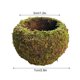 thumbnail image 3 of Bola de musgo de estilo japonés, maceta de jardinería con planta en maceta, maceta de musgo, 3 of 5