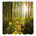 thumbnail image 3 of Ambesonne Forest Shower Curtain, Sun Rays Woods Foliage, 69"Wx75"L, Green Yellow Brown, 3 of 3
