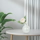 thumbnail image 2 of 2 jarrones de vidrio transparente para centros de mesa con flores, jarrones de vidrio transparente para macetas hidropónicas, decoración de mesa, 2 of 8