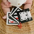 thumbnail image 6 of Genius Babies - Original, High Contrast (Black, White, Red) Flashcards for Baby (5" x 5"), 6 of 10