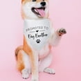 thumbnail image 4 of Promoted to Big Brother White Pet Dog Bandanas Triangle Scarf Bandanas Bibs Birthday Party Props Gender Revealing Photo Props Accessories for Pet Dog Lovers Gifts, 4 of 6