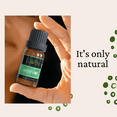 thumbnail image 6 of Menthol Essential Oil in 10ml and 120ml, 6 of 9