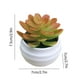 thumbnail image 3 of Plantas suculentas artificiales en maceta de plástico, ideales para la decoración del hogar y la oficina., 3 of 6