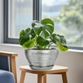 thumbnail image 4 of Stillaflora 9 inch Silver Medium Round Ceramic Plant Pot with Drainage Hole & Saucer | Indoor Planter for Herbs, Small Houseplants & Cactus, 4 of 7