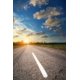 thumbnail image 3 of Fondo de fotografía de retrato para niños y adultos con carretera de Laeacco, camino sinuoso sin fin, paisaje natural, campo, árbol frondoso, 3 of 5