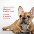 thumbnail image 3 of DreamBone Triple Flavor Twisties with Beef, Pork and Chicken, Rawhide-Free Chews for Dogs, 25 Count, 3 of 9