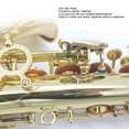 thumbnail image 4 of Ensemble de Remplacement de Tampons de Saxophone Alto, Cadeau Complet Tampons de Saxophone pour Réparation pour Saxophonistes, 4 of 7