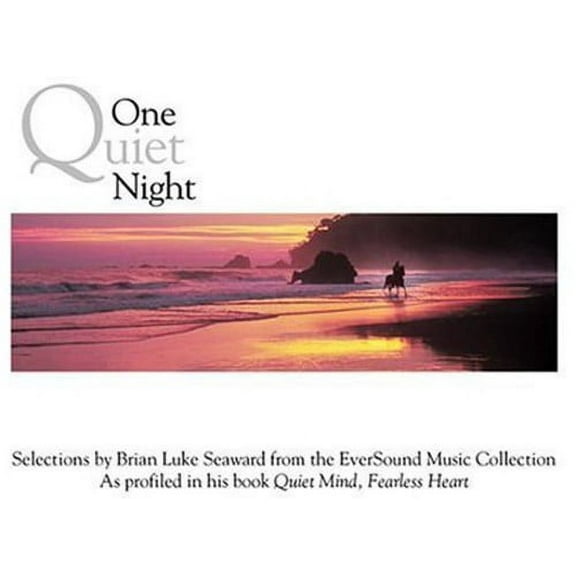 Various Artists - One Quiet Night - New Age - CD