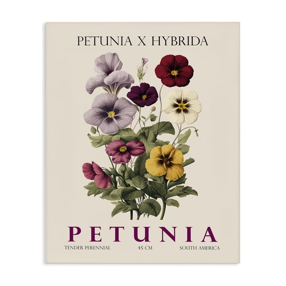 Stupell Industries Natural Petunia Bundle Canvas Wall Art, design by Christopher Giampietro