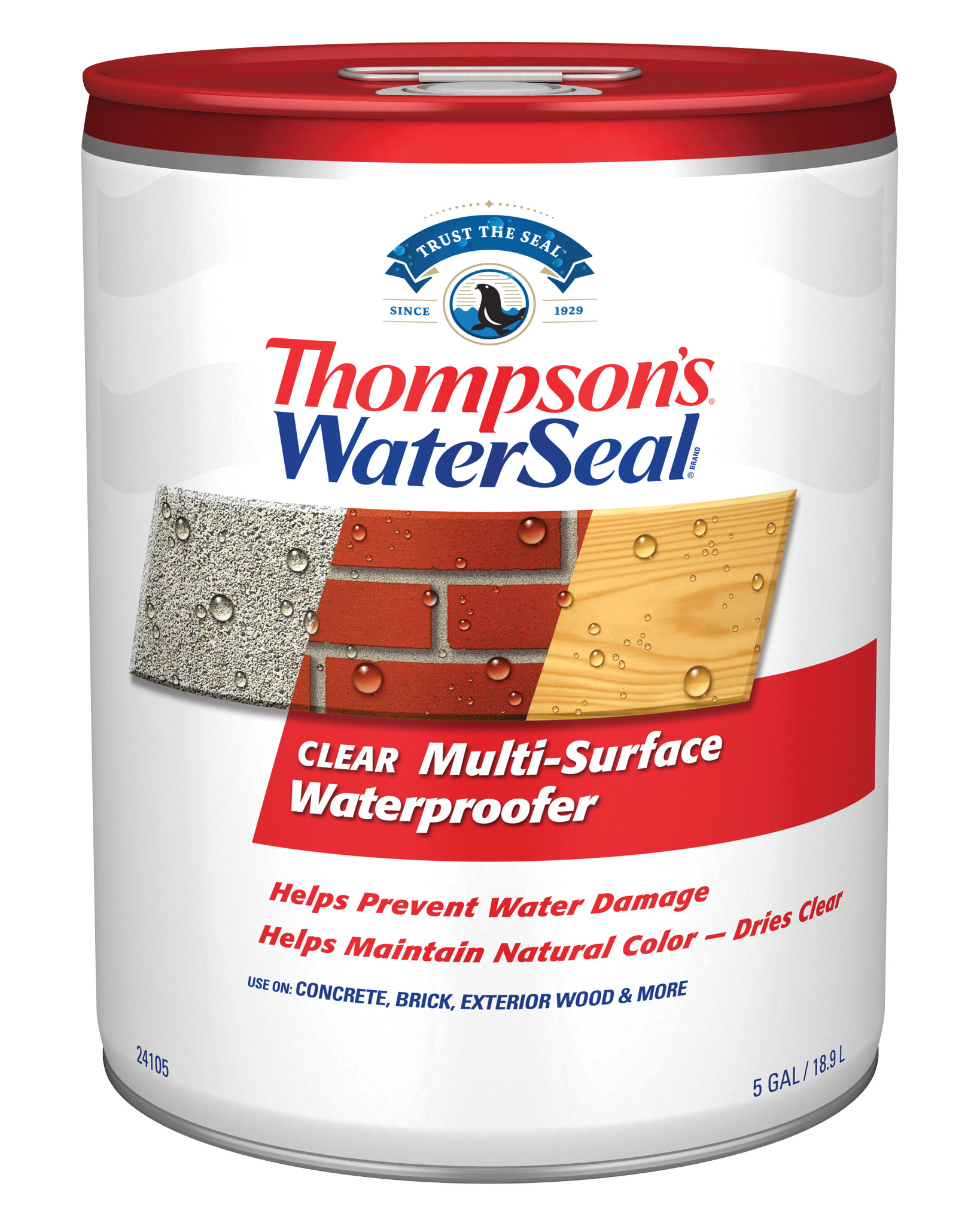 Thompson's WaterSeal Clear Multi-Surface Waterproofer, 5 Gallon