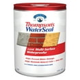 thumbnail image 3 of Thompson's WaterSeal Clear Multi-Surface Waterproofer, 5 Gallon, 3 of 9