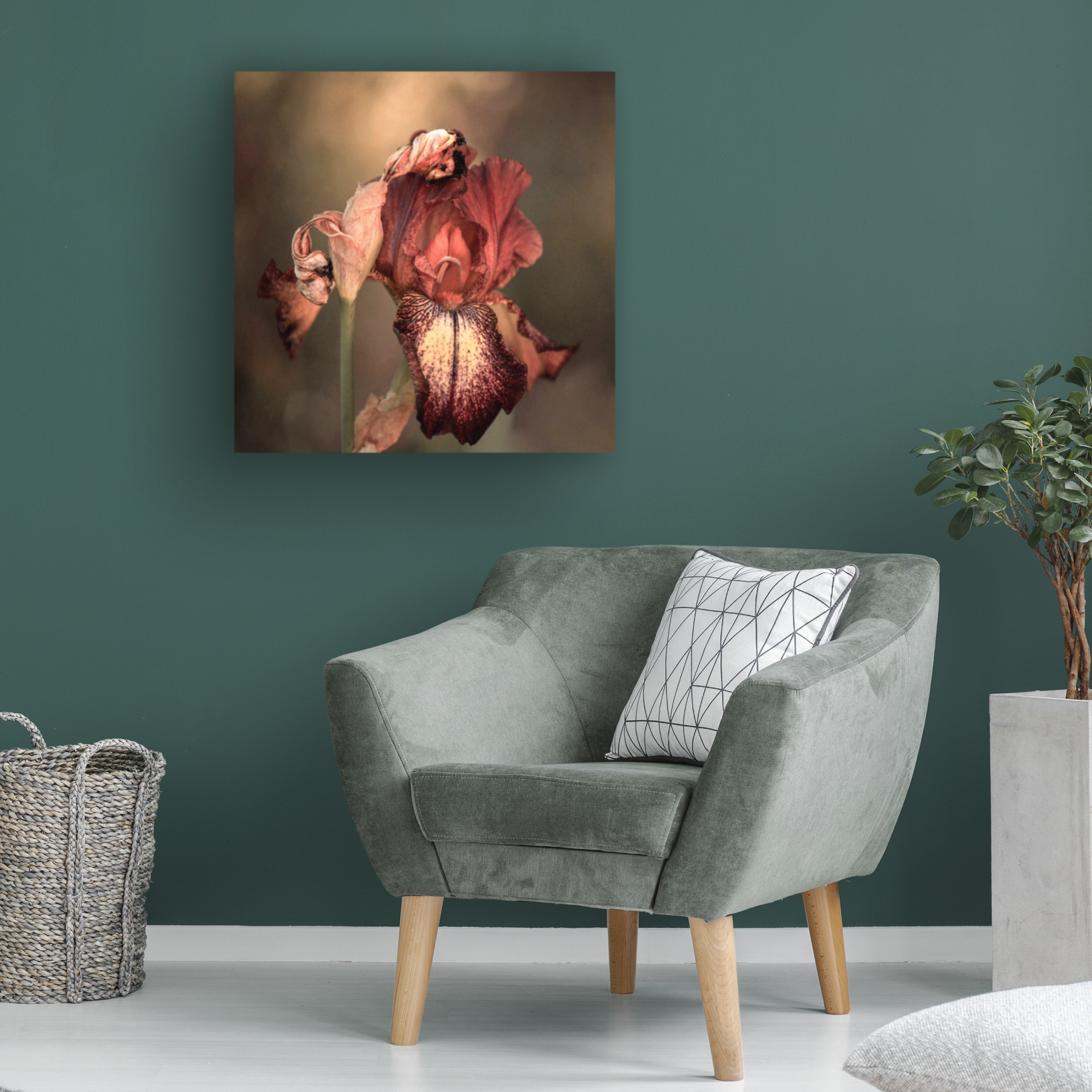 Trademark Fine Art Robin Wechsler  An Iris in Spring Canvas Wall Art
