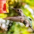 thumbnail image 4 of 16 Pieces Hummingbird Feeders Replacement Flowers Yellow Pet Replacement Bird Feeder Replacement Parts with 2 PCS Brush Feeding Ports Bee Guards for Hummingbird Feeders for Outdoors Hanging Feeder, 4 of 7