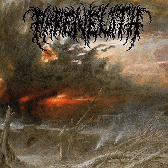 Desolate Endscape (Vinyl)