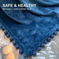 thumbnail image 2 of LOMAO Flannel Blanket Soft Throw Blanket with Pompom Fringe Lightweight Bed Blanket Fit Couch Sofa(51"x 63")(Aegean Blue), 2 of 7