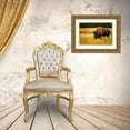 thumbnail image 3 of Bishop, Russ 24x17 Gold Ornate Wood Framed with Double Matting Museum Art Print Titled - Bison-Yellowstone National Park-Wyoming-USA, 3 of 4