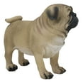 thumbnail image 2 of Realistic Lifelike Adorable Fawn Pug Dog Statue 7.75" L Figurine with Glass Eyes, 2 of 4