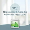 thumbnail image 4 of SMELLS BEGONE 15 oz Odor Absorber Gel – Air Freshener & Odor Control – Calming Rain Scent, 4 of 7