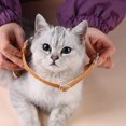 thumbnail image 4 of FONDOTIN 1Set Orange Cat Leash and Harness Set Flat Rope Escape Proof Design for Cats, 4 of 8