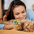 thumbnail image 5 of 20pcs Ride ball Chat Jouet Boule Chaton Exercice Jouet Papier Boule, 5 of 5