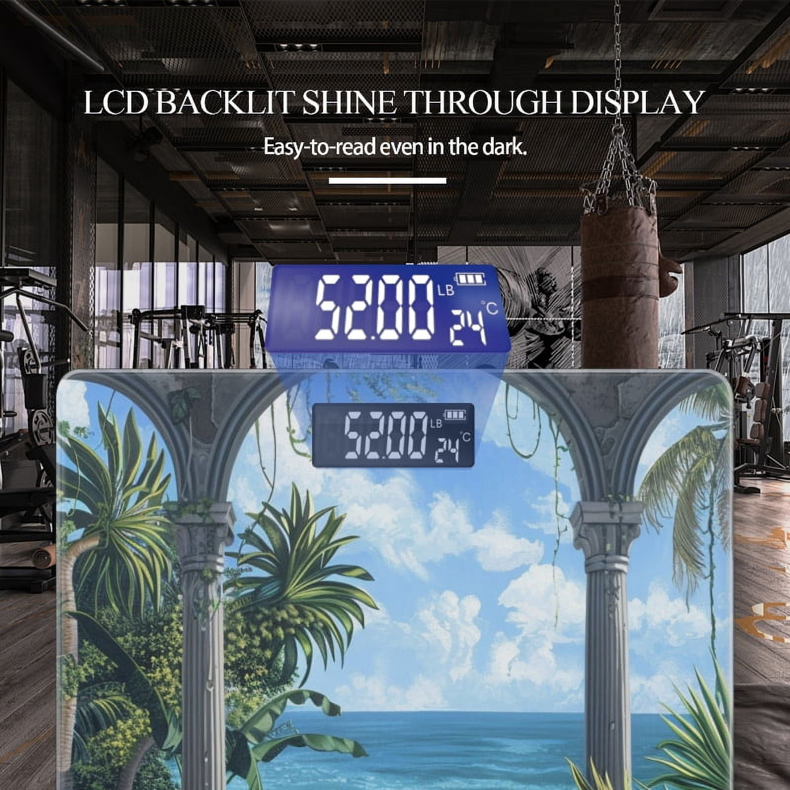 High Precision Body Weight Scale Smart Bathroom Scales with Large LCD Display(400lbs),Decorative for Bedroom-Beautiful Tropical Garden With Columns And Arches Overlooking The Ocean