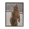 thumbnail image 2 of Stupell Industries Brown Bear Lake Water Splash Animals & Insects Painting Gray Framed Art Print Wall Art, 2 of 5