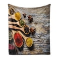 thumbnail image 1 of Spice Soft Flannel Fleece Throw Blanket, Colorful and Oriental Scenery with Flavorful Paprika Chili Pepper Curry Powder, Cozy Plush for Indoor and Outdoor Use, 50" x 60", Multicolor, by Ambesonne, 1 of 6